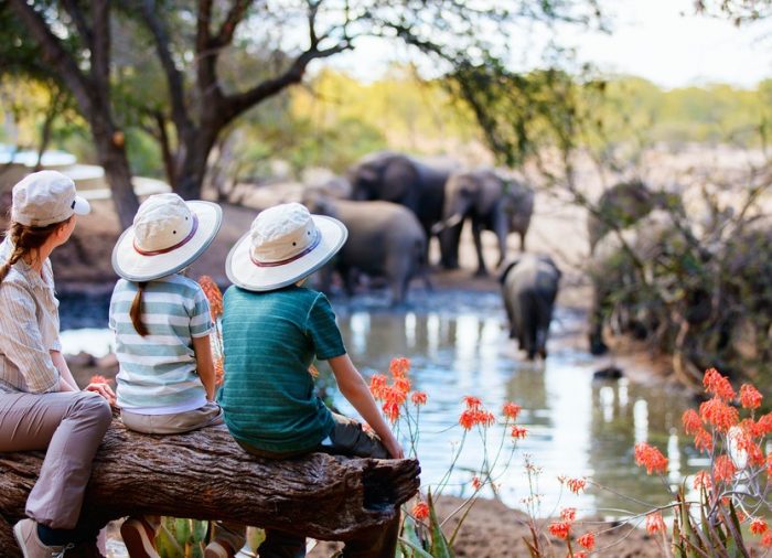 A mais épica aventura da sua vida num safari em África