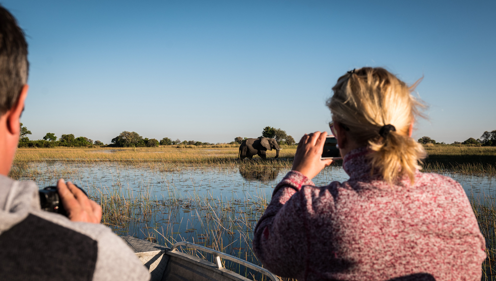 Elefantes no Delta do Okavango