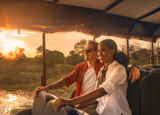 Uma viagem ao pulmão do mundo: Brasil