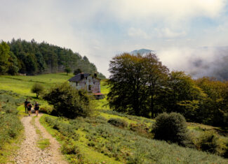 Euskadi – Basque Country, paraíso culinário